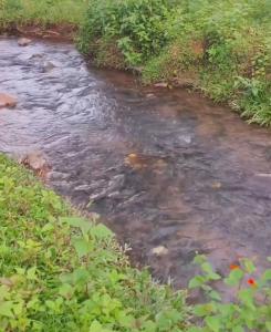 Mathews Haven, Wayanad - By Arattukulam Hospitality