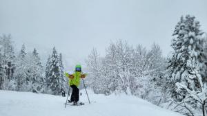 Wyndham Park City