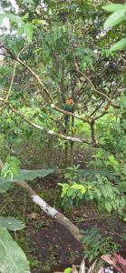 Kibutz Eco Guesthouse