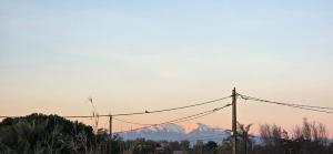 LE BARCARES - logement climatisé 2 chambres avec terrasse - plage et commerces à pied - parking - 4 personnes - chien accepté