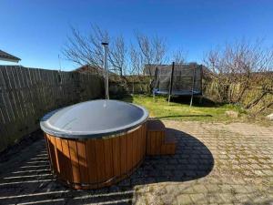 Seal Safari Oyster Safari And Water Sports