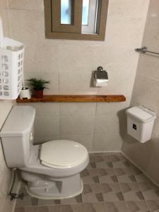 산초리니 Sanchorini