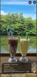 Lilys Riverhouse