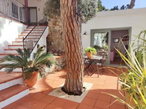ApartmentsTamariu2 - Duplex wGarden 50m to beach