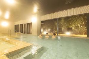 Ooedo Onsen Monogatari Premium Seiunkaku