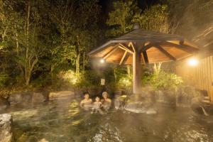 Ooedo Onsen Monogatari Premium Seiunkaku