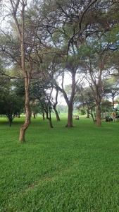 37Escape Kingsland City