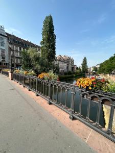 Hyper Center Strasbourg & Petite France Premium Apartment