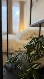 Church Hill Apartment