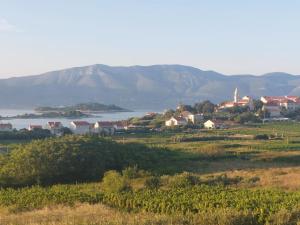 Korcula Lumbarda resort One Bedroom Apartment