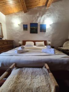 Casa Vacanze Il Cipresso