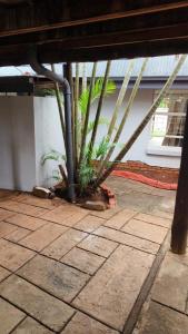 670 Emex Guest House Doornpoort