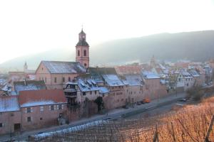 Appartements Laterale Residences Riquewihr : photos des chambres