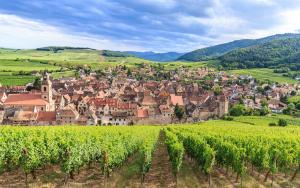 Appartements Laterale Residences Riquewihr : photos des chambres