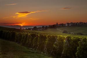 Appartements Laterale Residences Riquewihr : photos des chambres