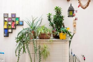 Casa Vacanze Gaia img6