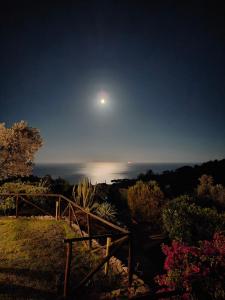 Sea view villa with large garden