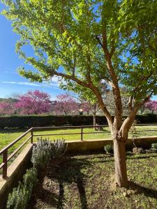 Chiantis Secret Nest - Cozy home with sunset view