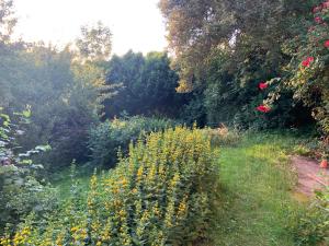 Strandnahe Gartenwohnung an der Kieler Förde