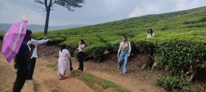 Munnar Village Homes