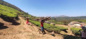 Munnar Village Homes