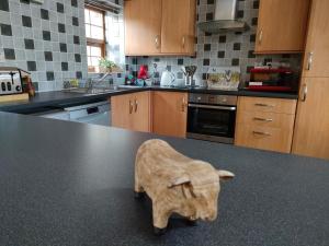 Y Bwthyn at The Old Water Mill on the very edge of Snowdonia