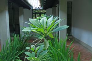 Villa Irabatu