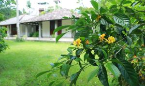 Villa Irabatu