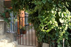 Quiet Garden Apartment with Terrace near Center