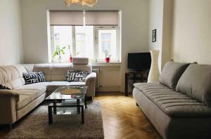 Big and comfortable apartment in the center