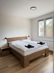 Mid-Town Spacious Apartment