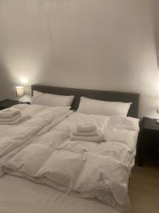 Ferienwohnung direkt am Rhein in Nierstein