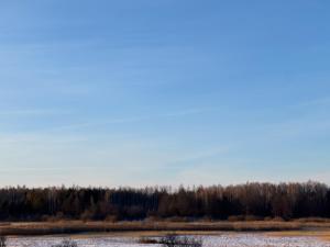 Domki nad rzeką Narew