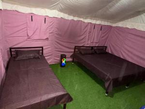 Chaukhamba View Camps Chopta