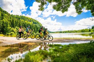 Suite familiale "Le Logis des Ptits Lynx"