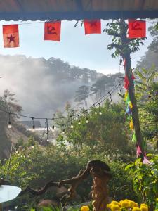 Homestay Ngỏ Nhỏ