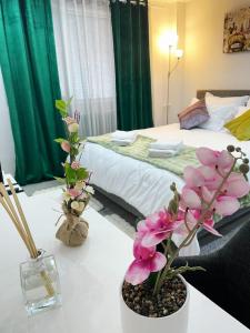 Palas Prime Studio Central near Palas Mall