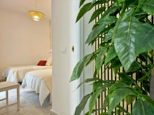 Apartamento Castellanos - Ole Solutions