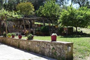 Nature retreat apartment