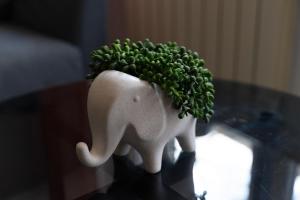 Warsaw Center Modern Loft Apartment by BookingHost