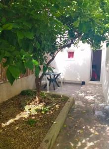 Studio Čagalj Trogir