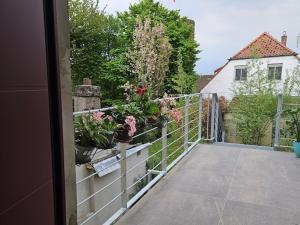 RheinHeim - Urlauben mit Genuss