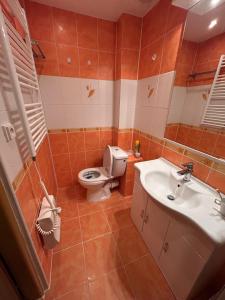 Aparmán Na Divoké Orlici