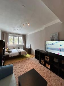 Aparmán Na Divoké Orlici