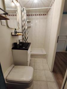 appartement en rez de jardin et terrasse dans villa