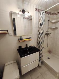 appartement en rez de jardin et terrasse dans villa
