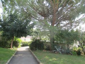 Le Lagon de Frejus Piscine XXL