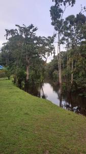 Bromelia View Lodge