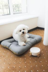 Alexandrovskiy Hotel