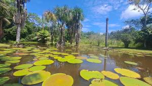 Iquitos Adventure House